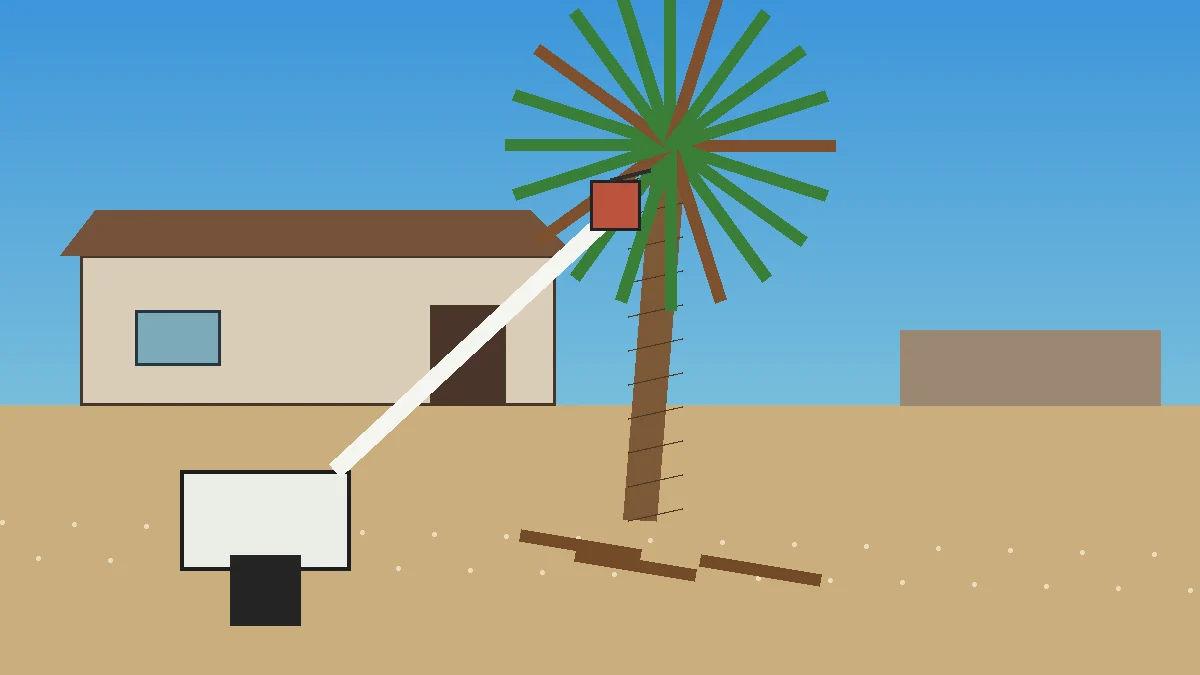Palm tree trimming in progress Avondale Arizona West Valley Mexican fan palm HOA maintenance Carlos